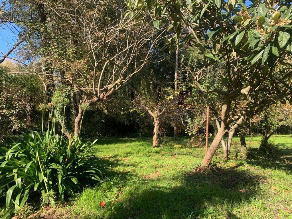 Masia Can Janet Arbúcies Dış mekan fotoğraf