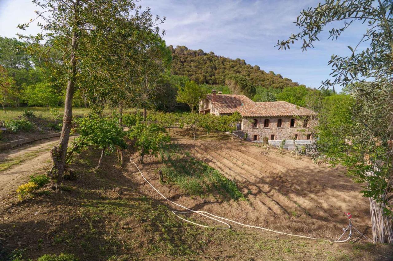 Masia Can Janet Arbúcies Dış mekan fotoğraf
